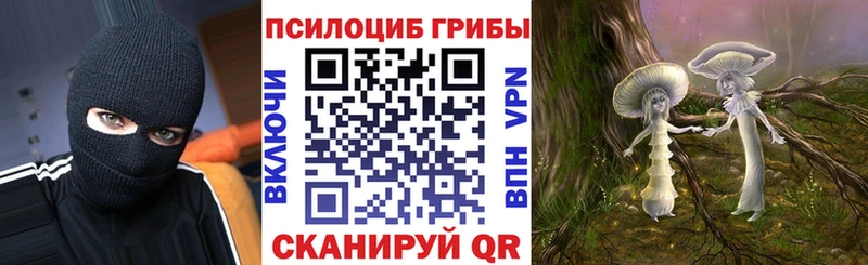 Псилоцибиновые грибы Cubensis  цена   Тимашёвск 