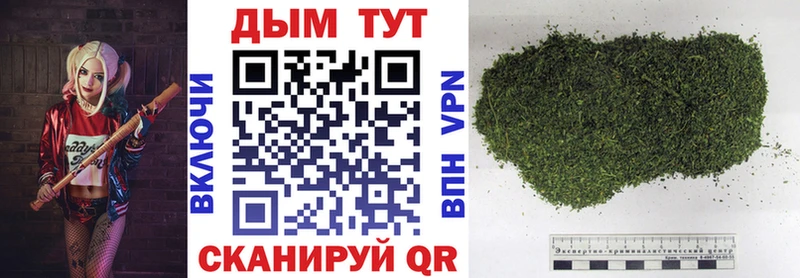 где продают наркотики  Тимашёвск  Канабис марихуана 